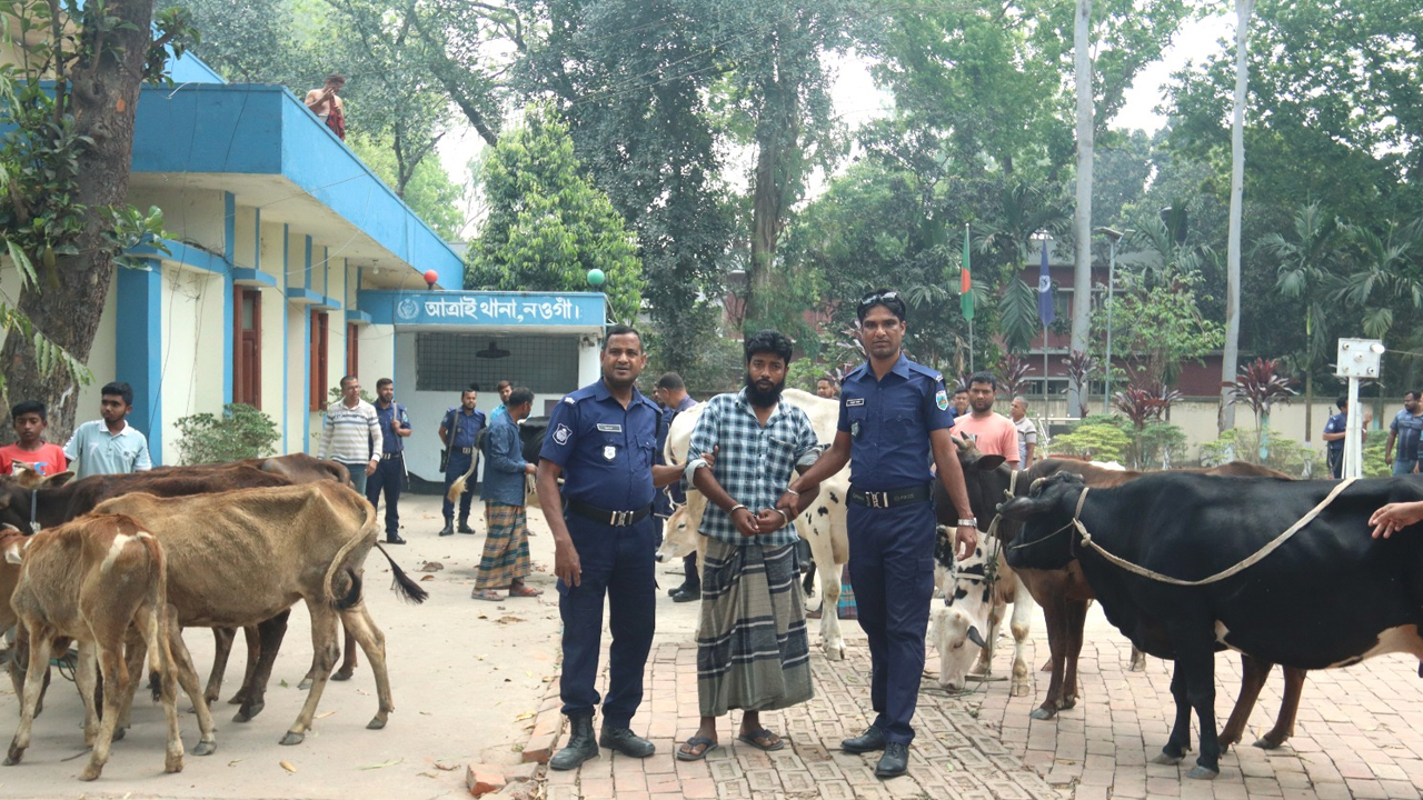 ছবি: দেশ টিভি