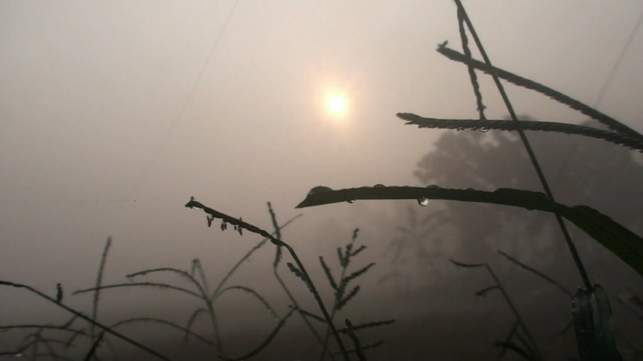 দেশের ৭ অঞ্চলে বয়ে যাচ্ছে মৃদু তাপপ্রবাহ