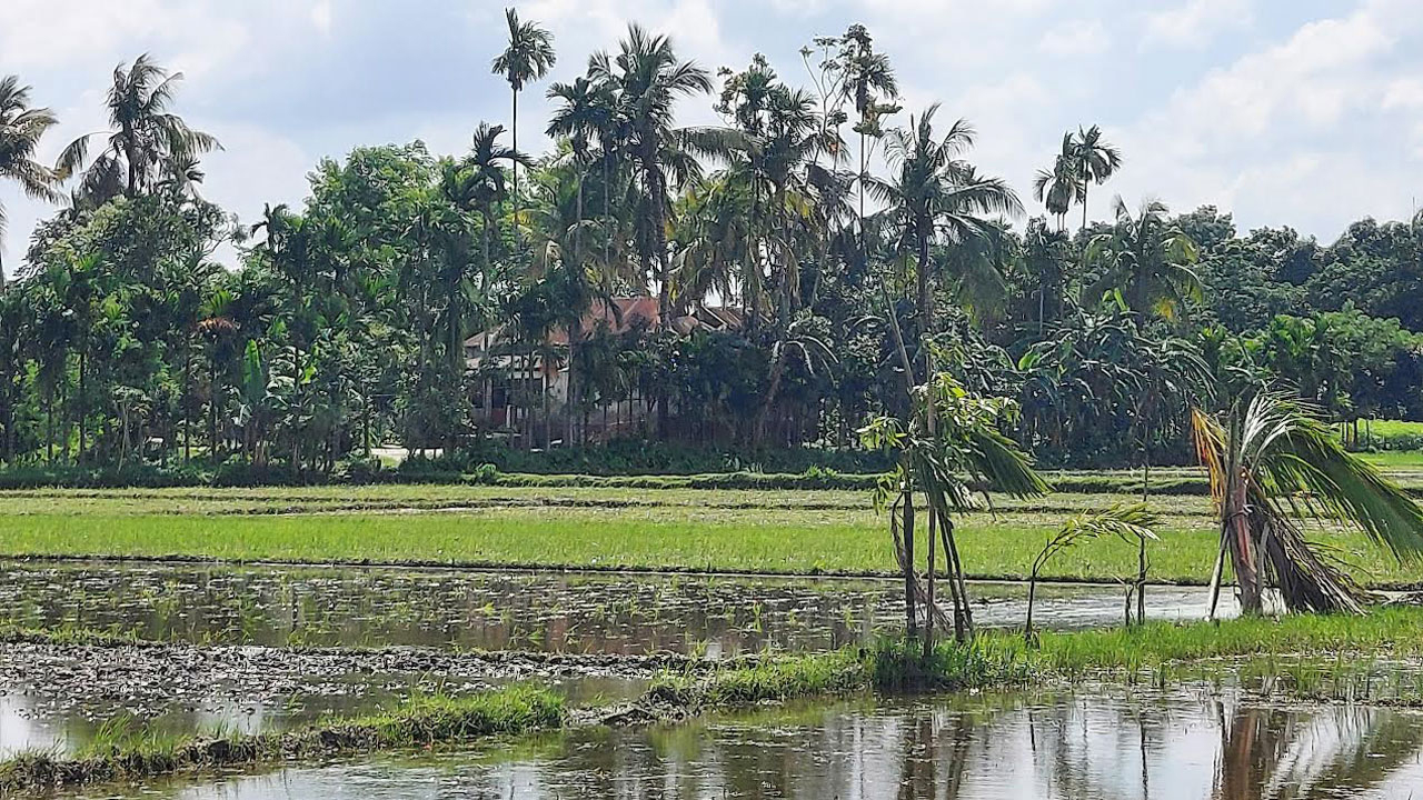 ছবি: দেশ টিভি