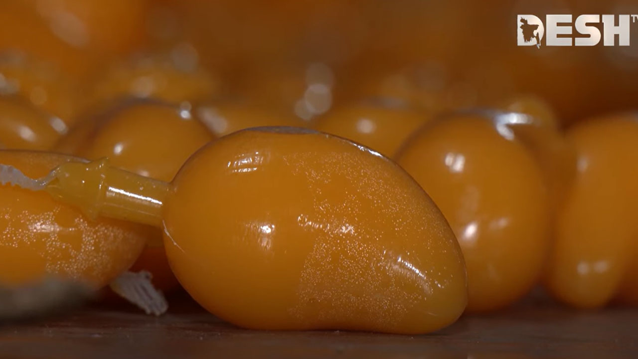 ছবি: দেশ টিভি