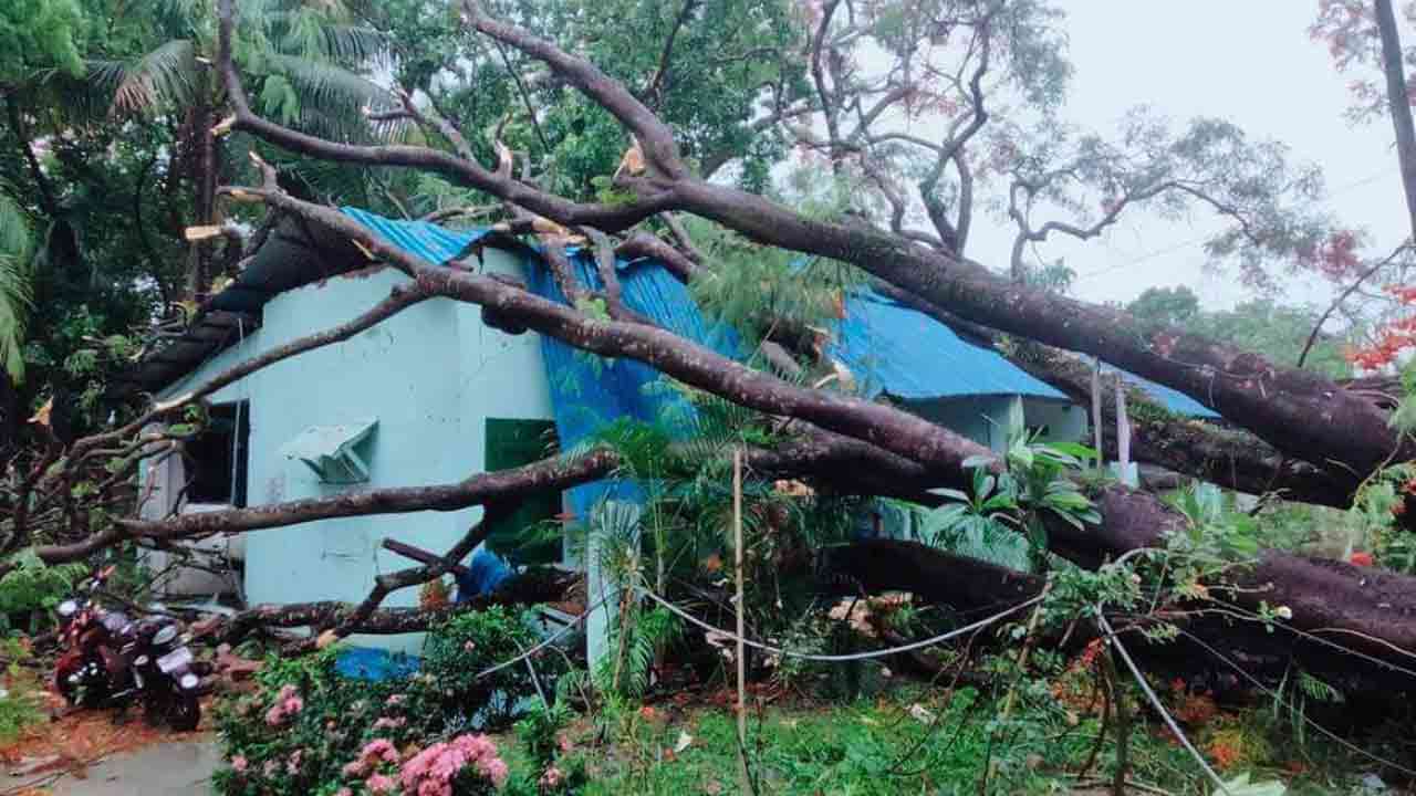 ফাইল ছবি