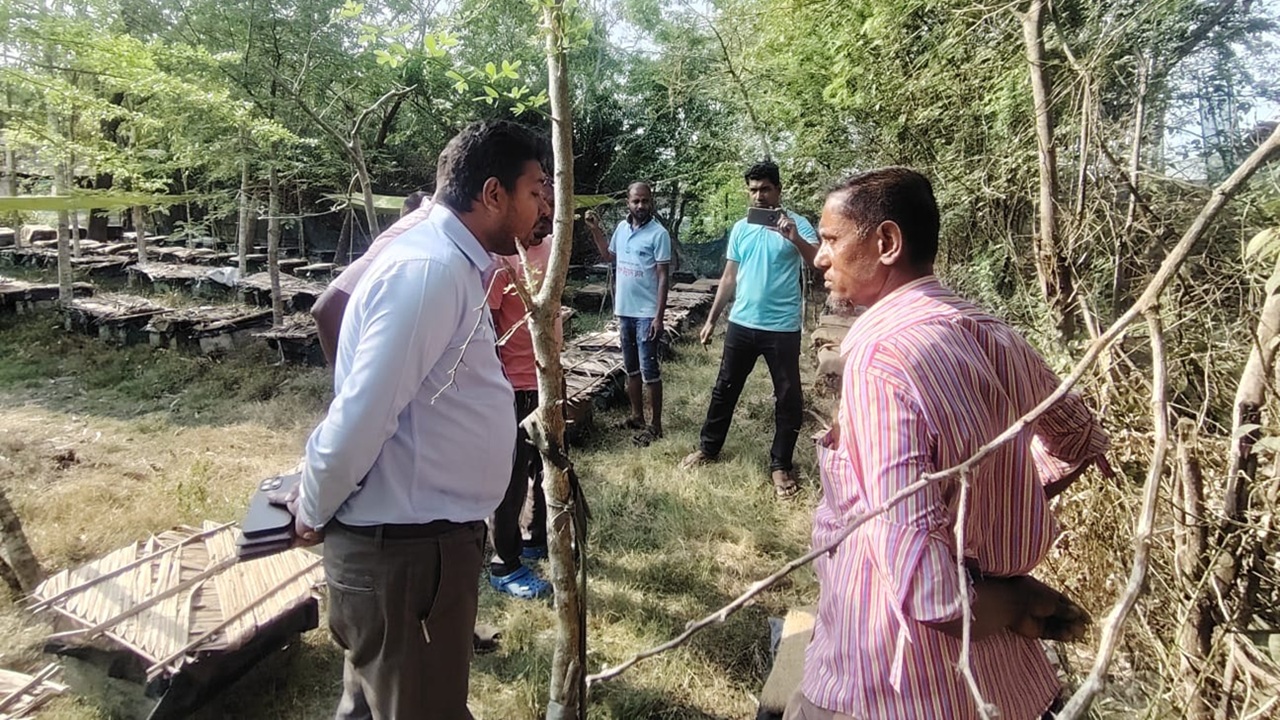 দেশ টিভি