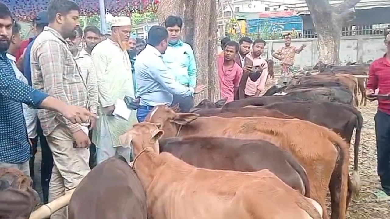 ছবি: দেশ টিভি