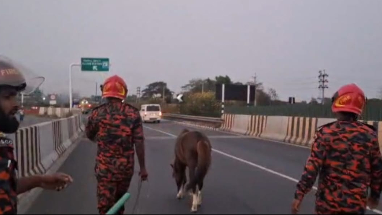 ছবি: দেশ টিভি