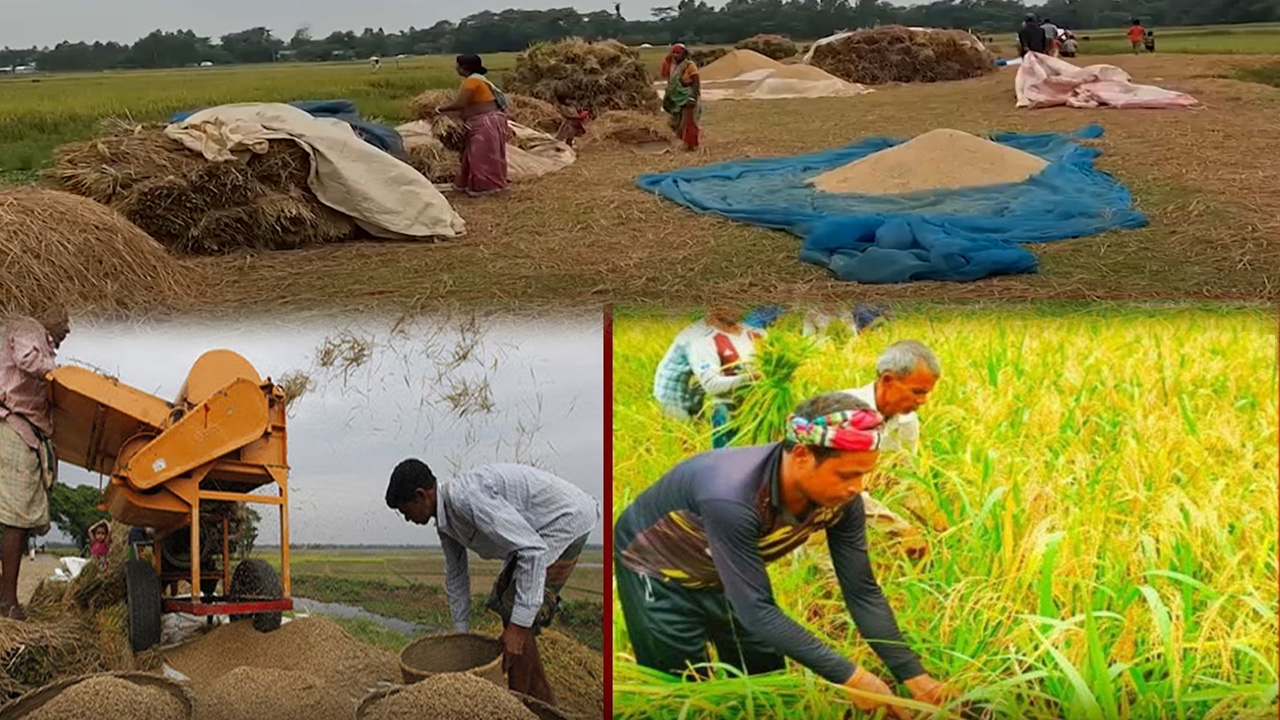 দেশ টিভি