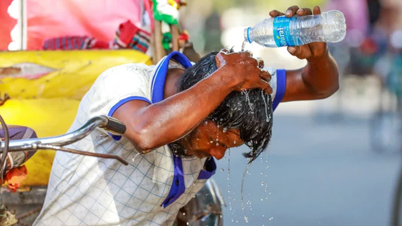 সংগৃহীত ছবি