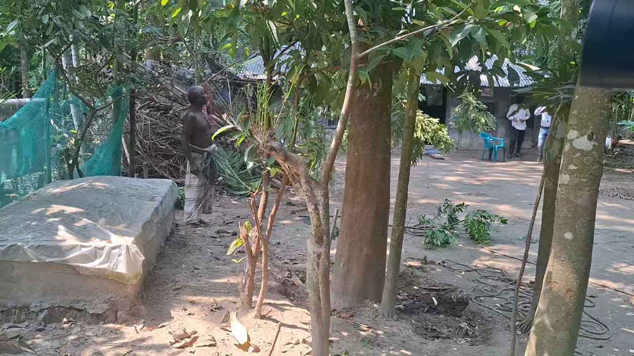 ছবি: সংগৃহীত