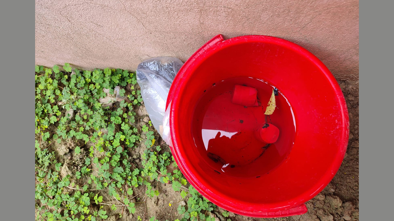 ছবি: দেশ টিভি