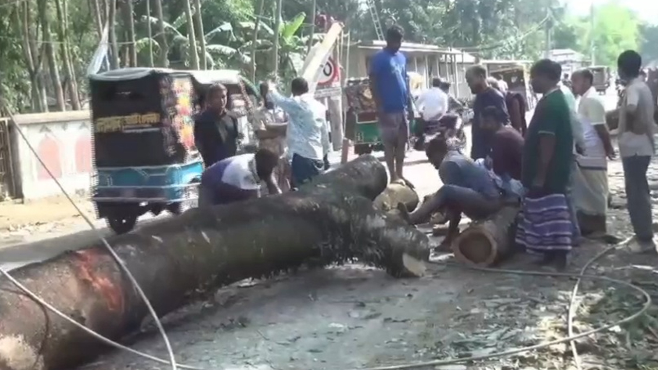 ছবি: দেশ টিভি