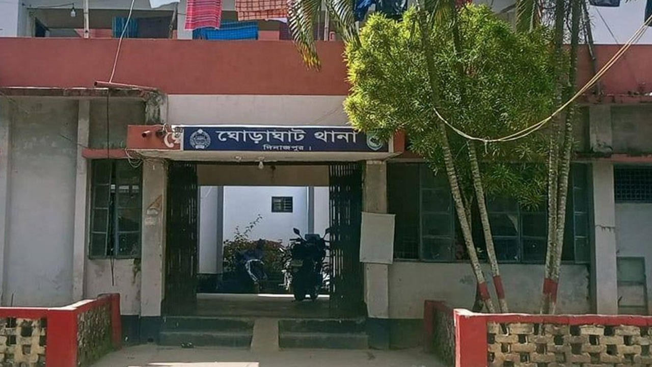 সংগৃহীত ছবি