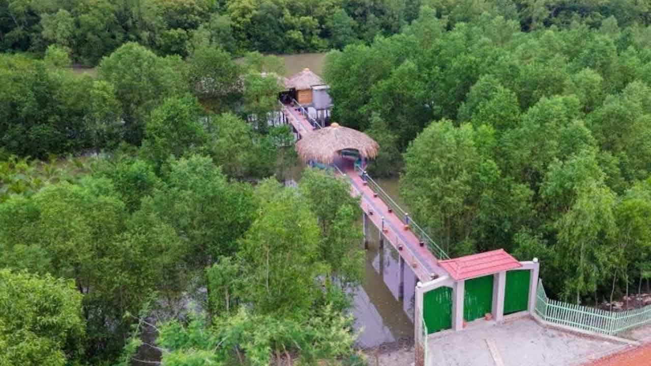 ফাইল ছবি