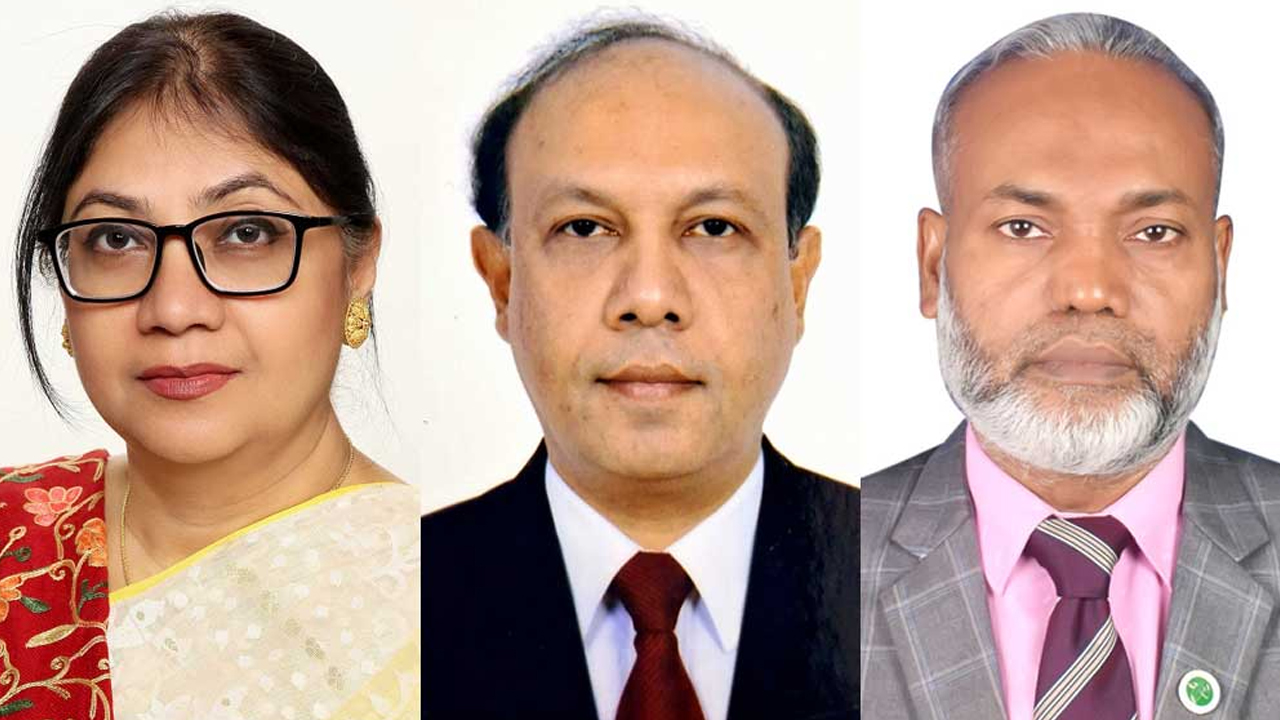 অধ্যাপক শুচিতা শরমিন, অধ্যাপক গোলাম রব্বানি ও অধ্যাপক মামুন অর রশিদ। সংগৃহীত ছবি