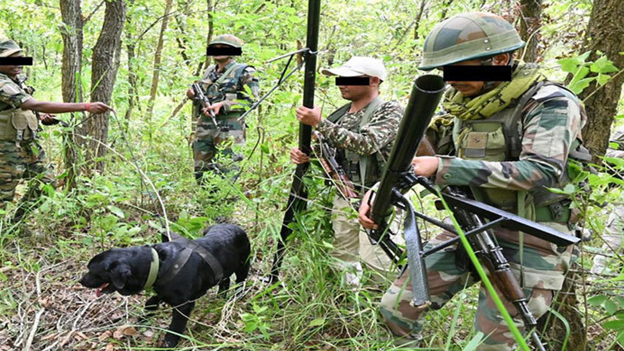 সংগৃহীত ছবি