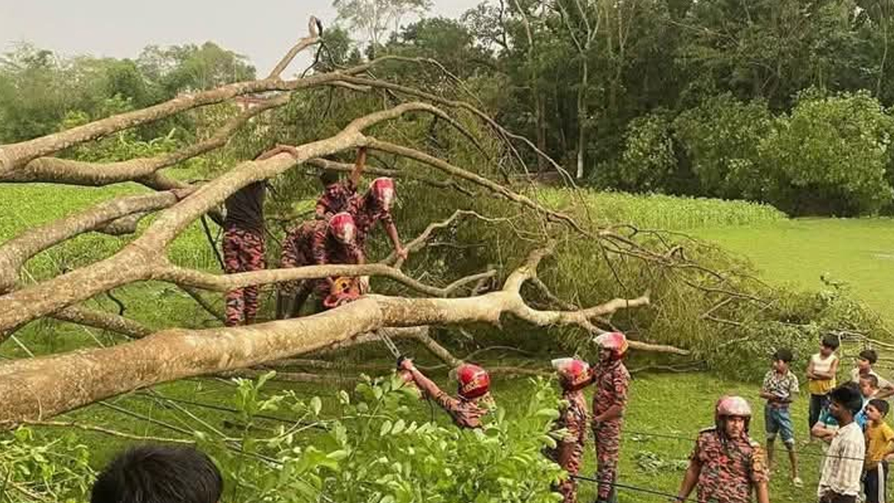 ছবি: দেশ টিভি