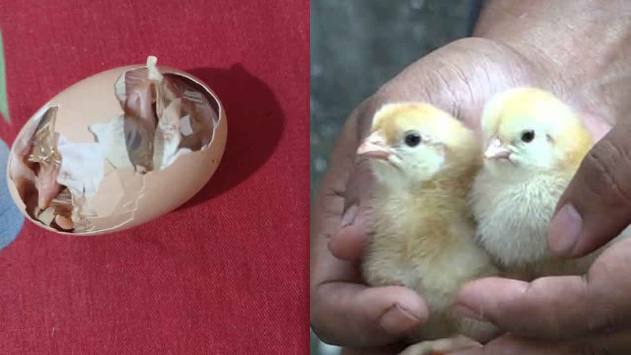 ছবি: দেশ টিভি