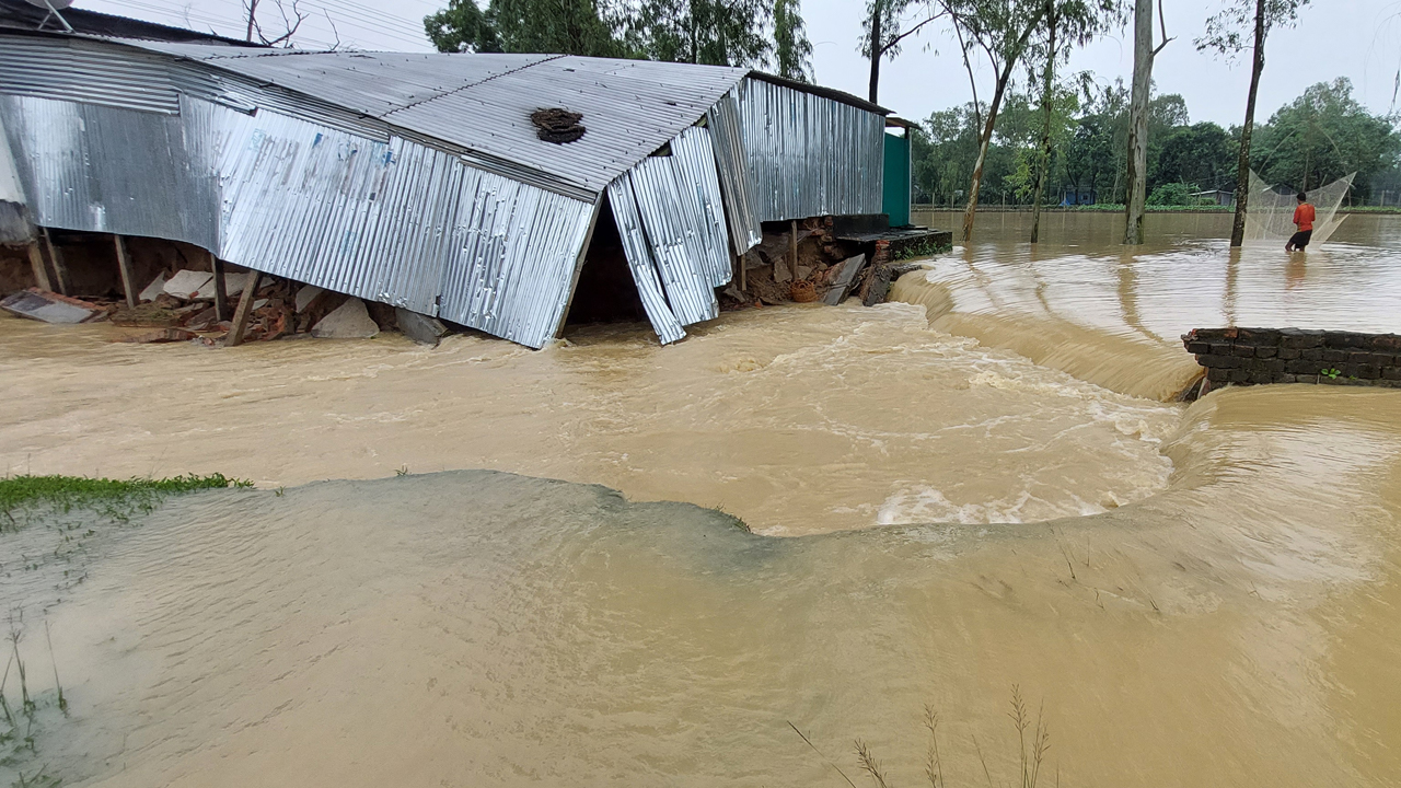 ফাইল ছবি