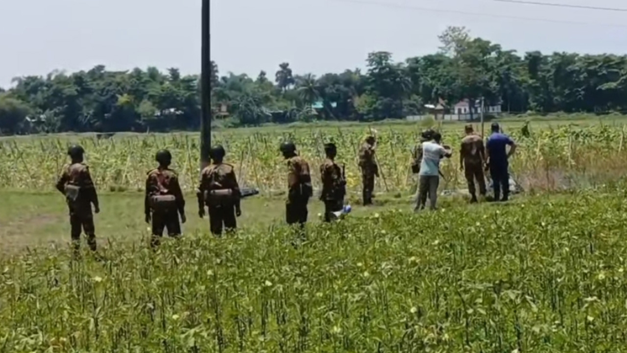 মরিচ ক্ষেতে মিলল গ্রেনেড, নিষ্ক্রিয় করল সেনাবাহিনী