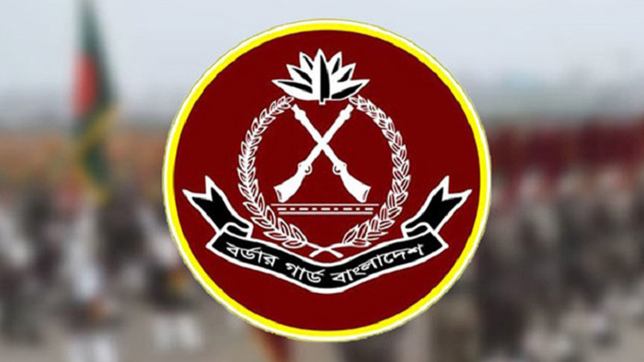 মে মাসে বিজিবির অভিযানে ১৩৩ কোটি টাকার চোরাচালান জব্দ