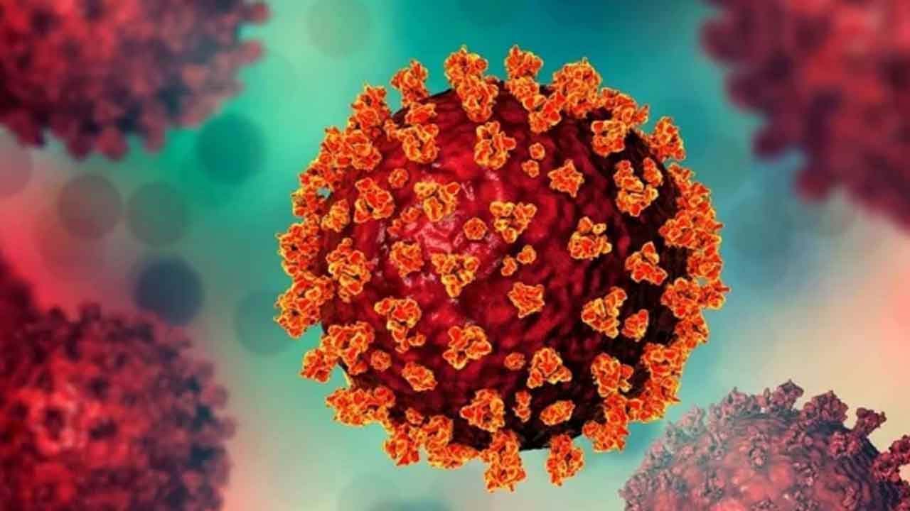 করোনায় একজনের মৃত্যু, শনাক্ত ১০