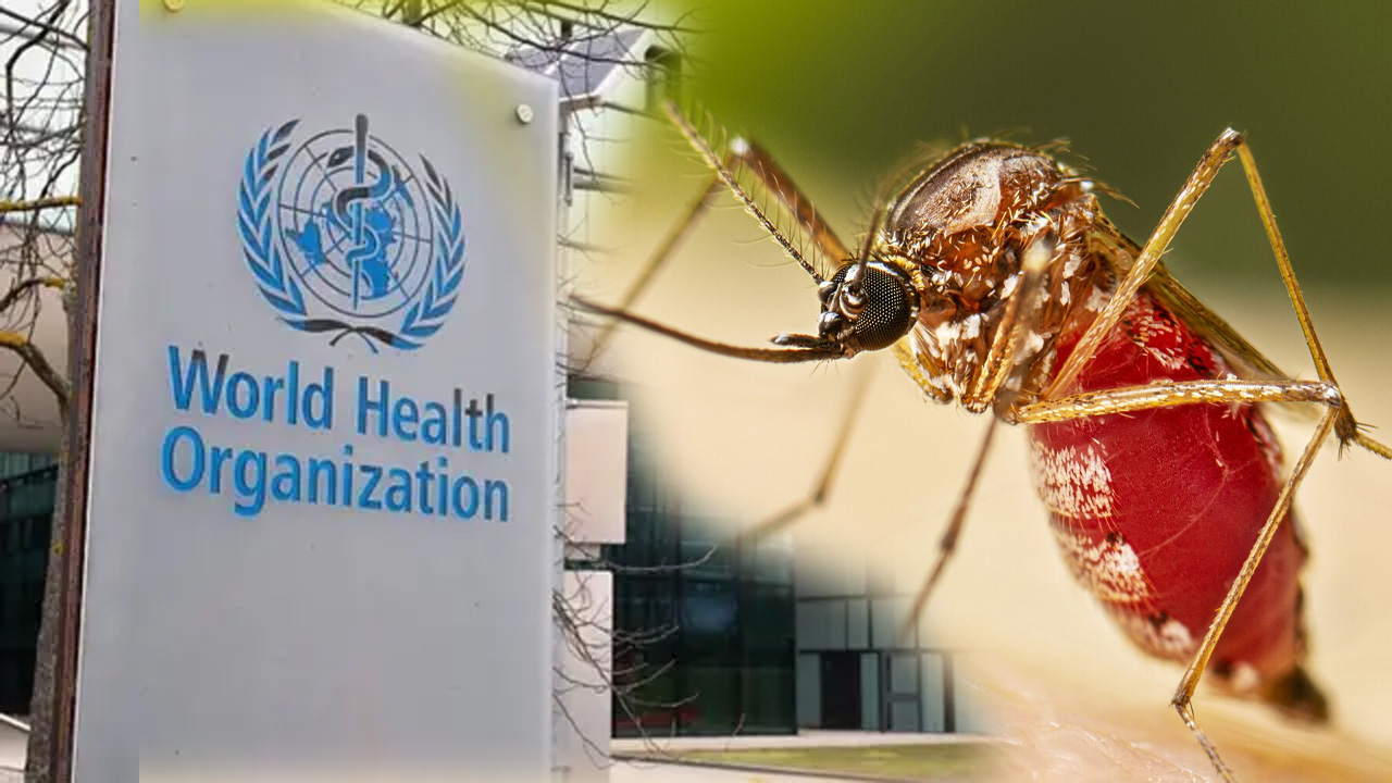 চিকুনগুনিয়া ভাইরাস নিয়ে বিশ্ব স্বাস্থ্য সংস্থার উদ্বেগ