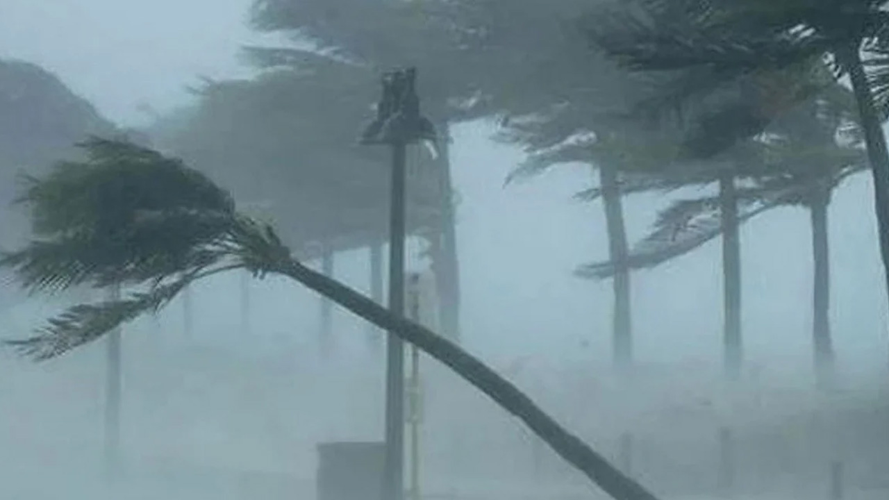 ৭ জেলায় ঝড়ের আশঙ্কা, বজ্রসহ বৃষ্টি হতে পারে যেসব অঞ্চলে