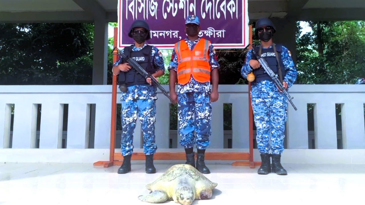 সুন্দরবনের আহত কচ্ছপ নদী থেকে উদ্ধার করেছে কোস্টগার্ড