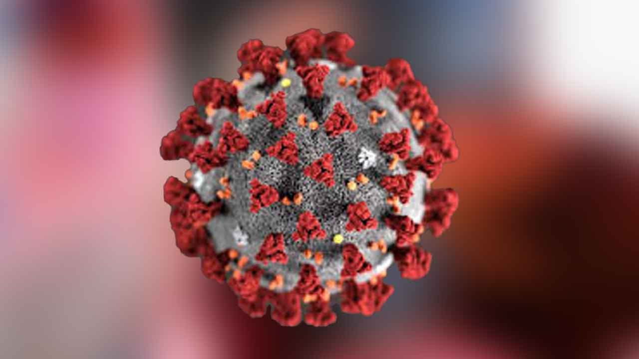 করোনায় প্রাণ গেলো একজনের&nbsp;