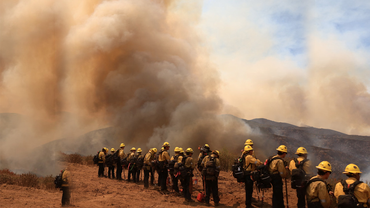 ভয়াবহ দাবানলে পুড়ছে লস পাদ্রেস ন্যাশনাল ফরেস্ট