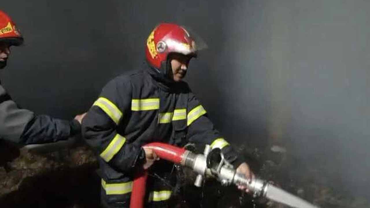 ফাইল ছবি