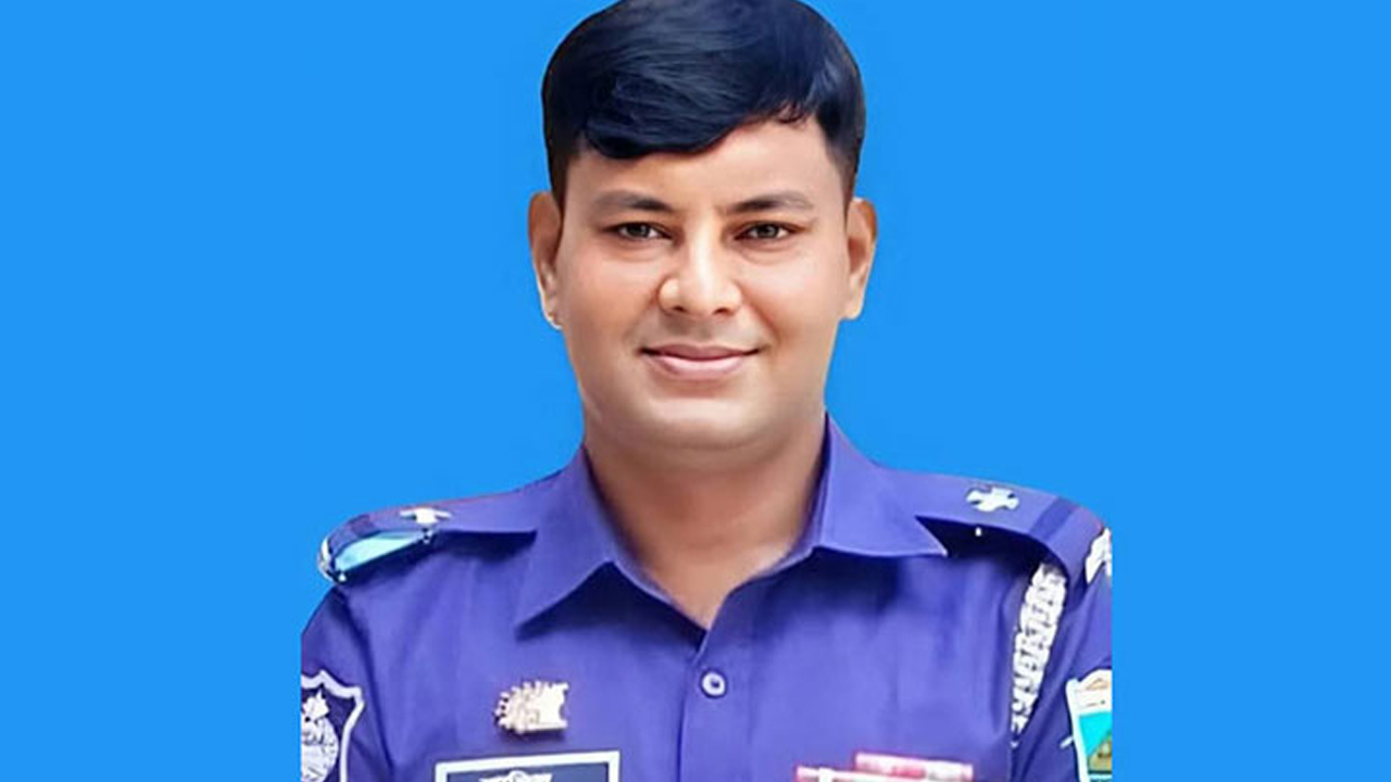 সংগৃহীত ছবি