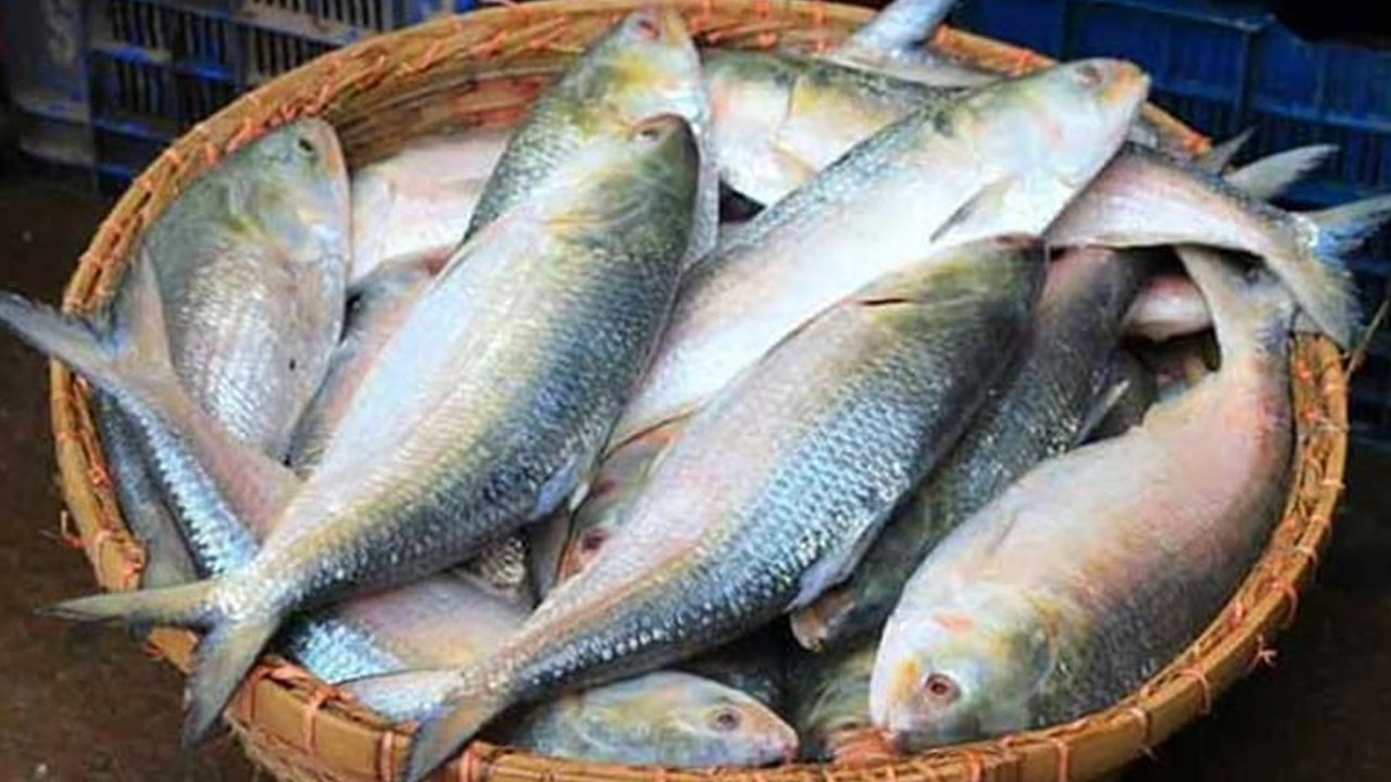 ফাইল ছবি