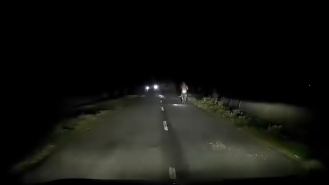 ভিডিও থেকে নেওয়া