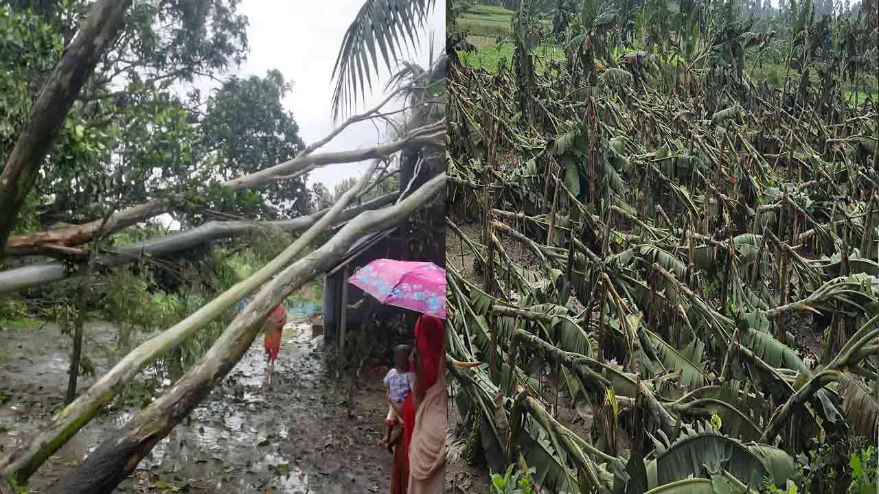 ঝড়ে লণ্ডভণ্ড নওগাঁ, ক্ষতিগ্রস্ত পরিবারগুলো এখনও বিপাকে