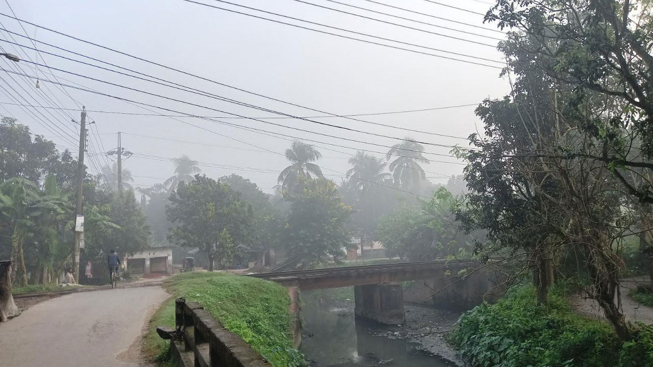 সংগৃহীত ছবি