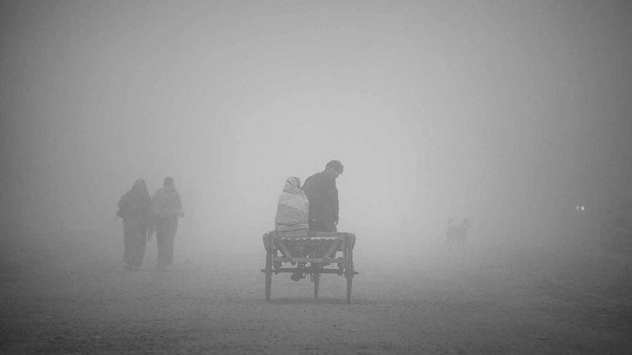 ফাইল ছবি