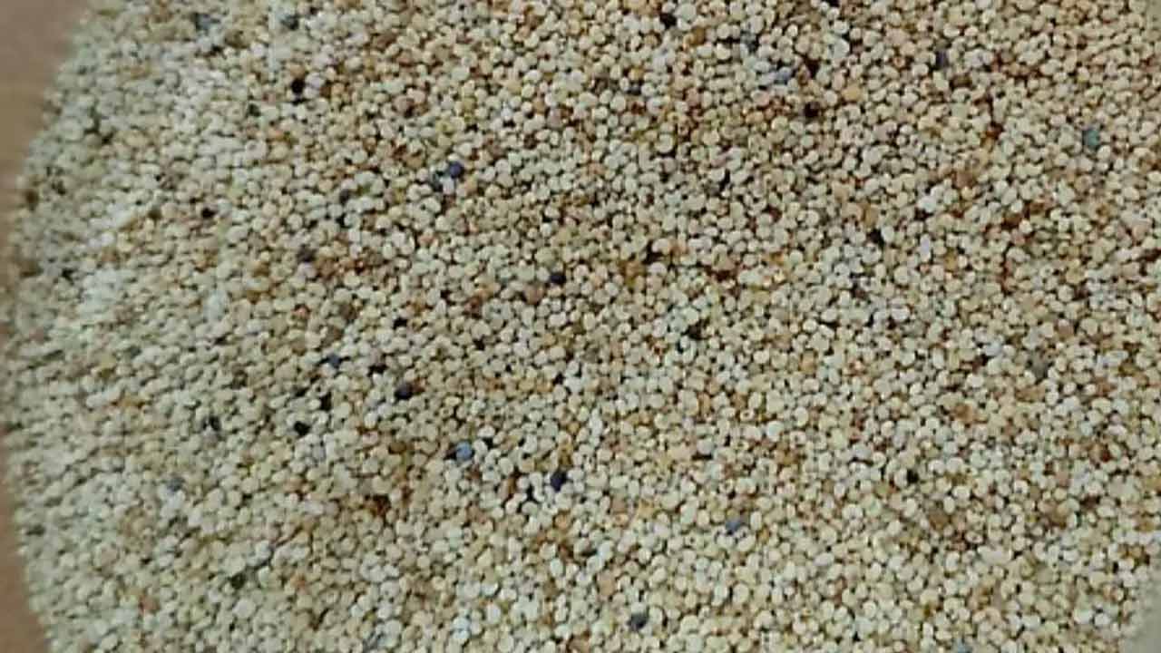 পাখির খাদ্যের আড়ালে চট্টগ্রাম বন্দরে এলো ২৫ হাজার কেজি মাদক