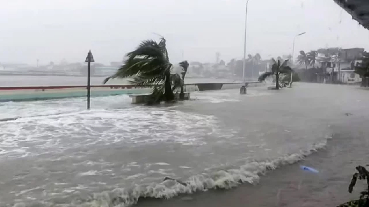 সংগৃহীত ছবি