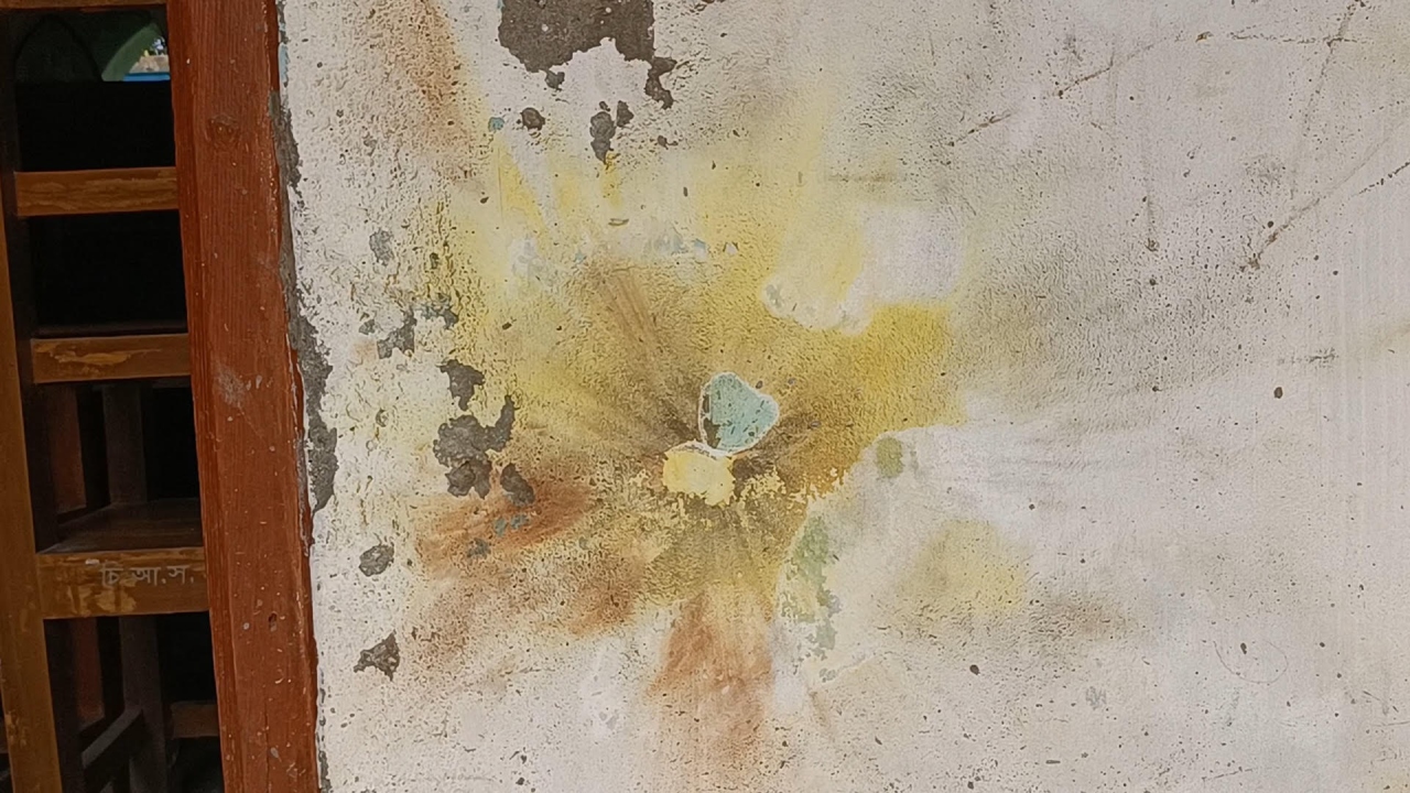 ছবি : দেশ টিভি