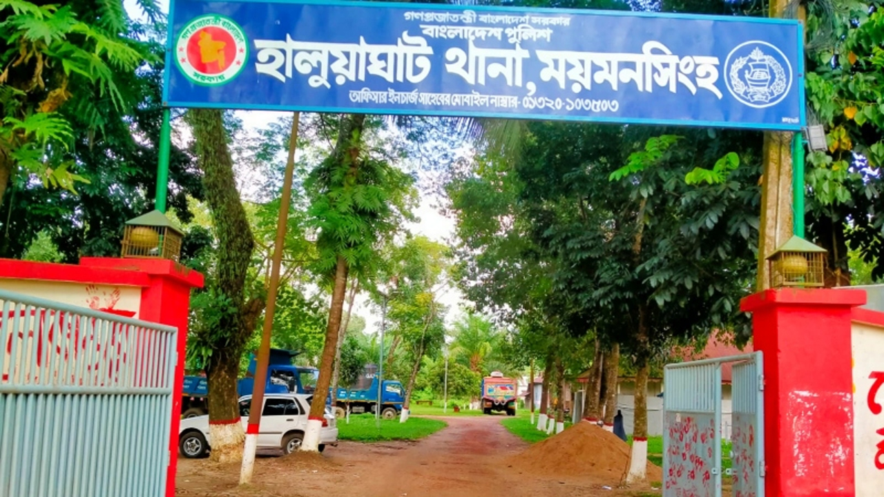 সংগৃহীত ছবি