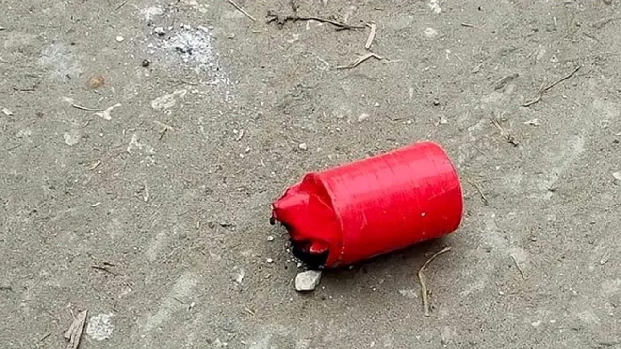 সংগৃহীত ছবি