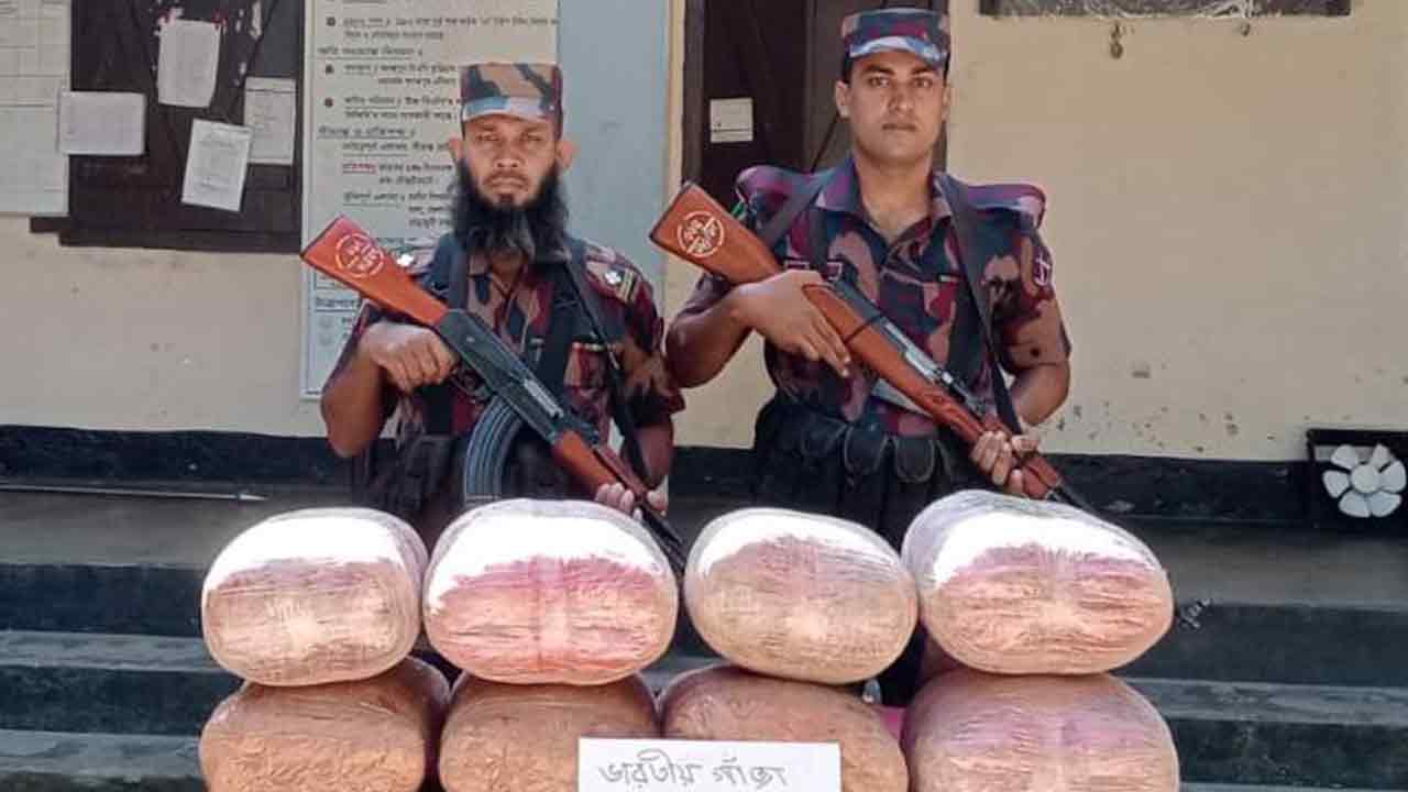 কুড়িগ্রামে ৪১ কেজি ভারতীয় গাঁজা জব্দ&nbsp;