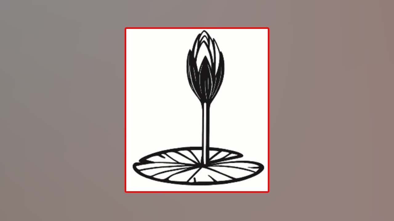 ওয়েবসাইটে এনসিপির শাপলা কলির স্কেচ যুক্ত করলো ইসি