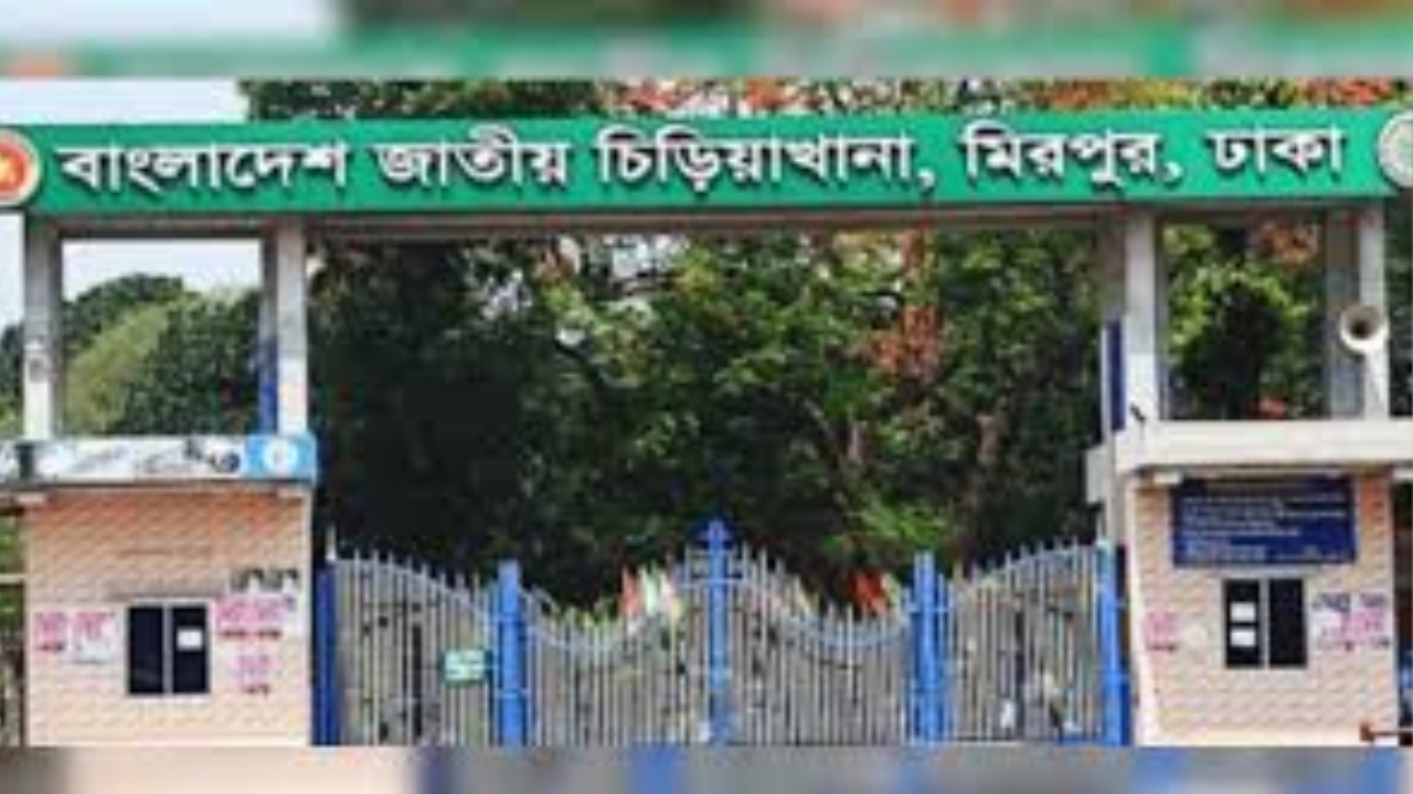 জাতীয় চিড়িয়াখানায় খাঁচা ভেঙে সিংহ বাইরে, নিয়ন্ত্রণে কাজ করছে কর্তৃপক্ষ