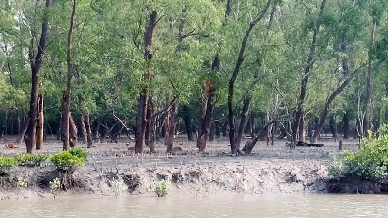 সুন্দরবন থেকে ৭ জেলে অপহরণ