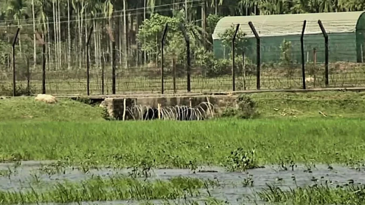 শেরপুরে নয়, হালুয়াঘাটে দুজনকে গ্রেপ্তার: পুলিশ