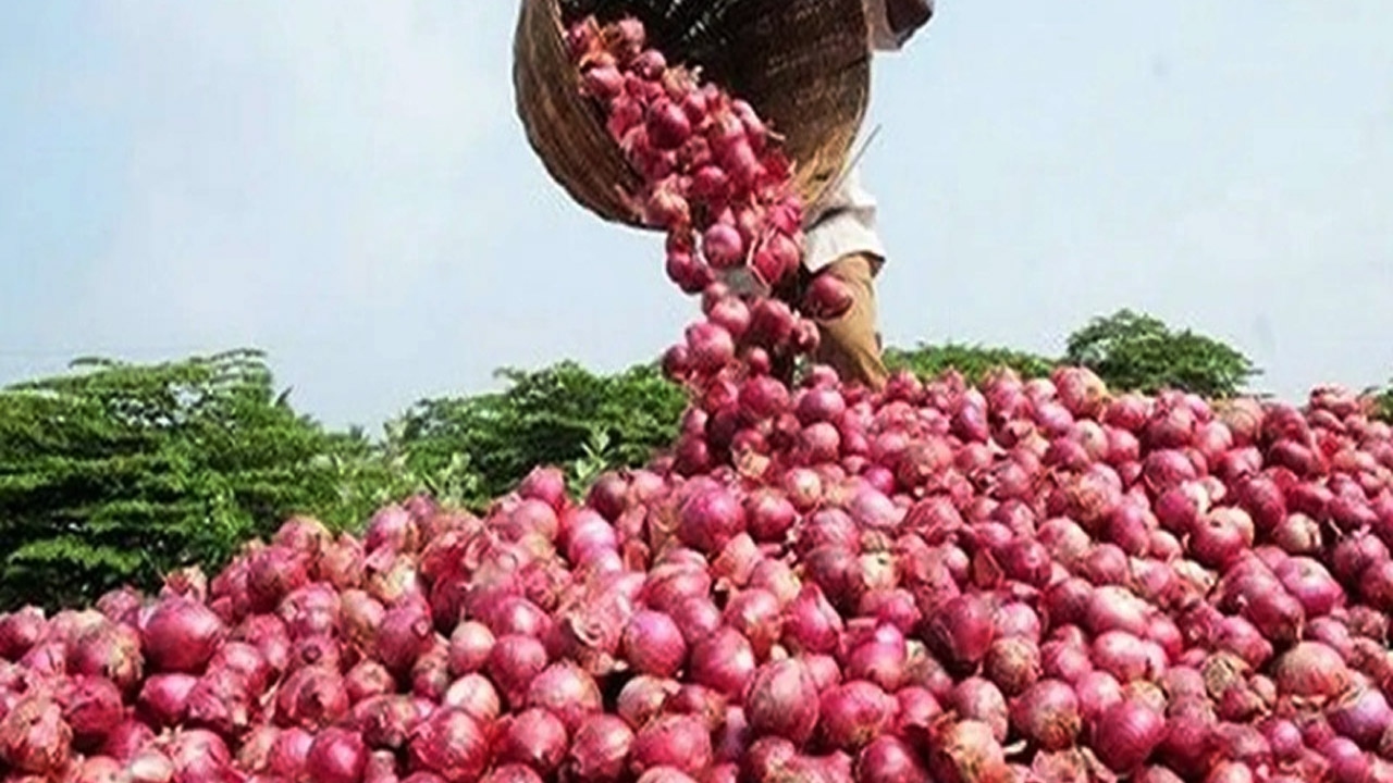 বেনাপোল বন্দর দিয়ে তিন দিনে ২১০ মেট্রিক টন পেঁয়াজ আমদানি