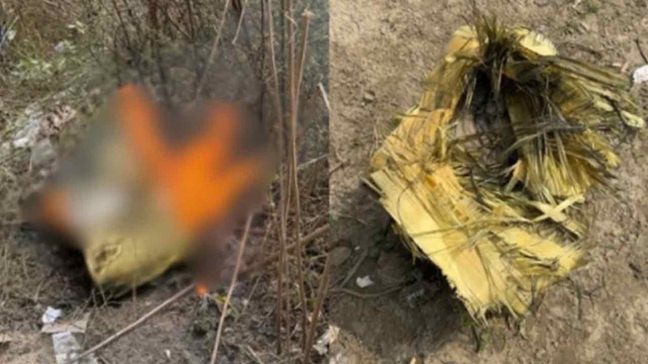 দাউদকান্দিতে মেঘনা&ndash;গোমতী সেতুর নিচে উদ্ধারকৃত টাইম বোমা নিষ্ক্রিয়