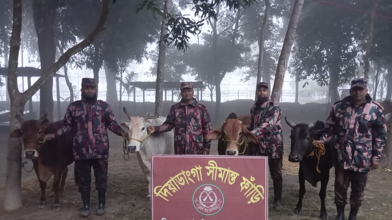 ছবি: দেশ টিভি