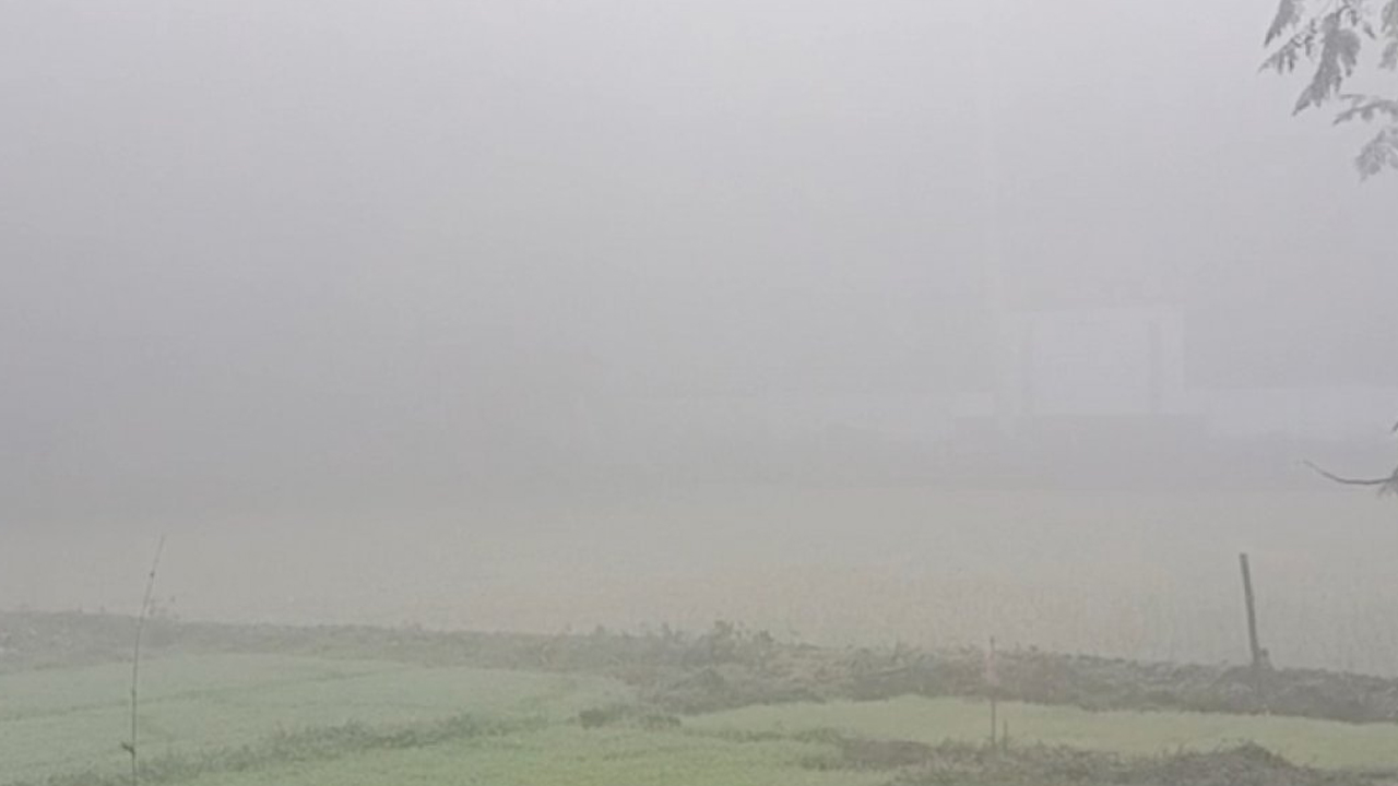 শৈত্যপ্রবাহে কাঁপছে চুয়াডাঙ্গা