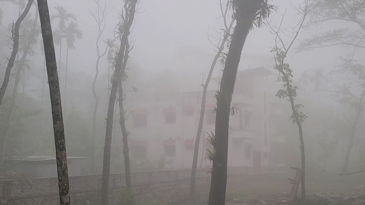 মৃদু শৈত্যপ্রবাহে কাঁপছে ভোলা, তাপমাত্রা ৮ ডিগ্রিতে